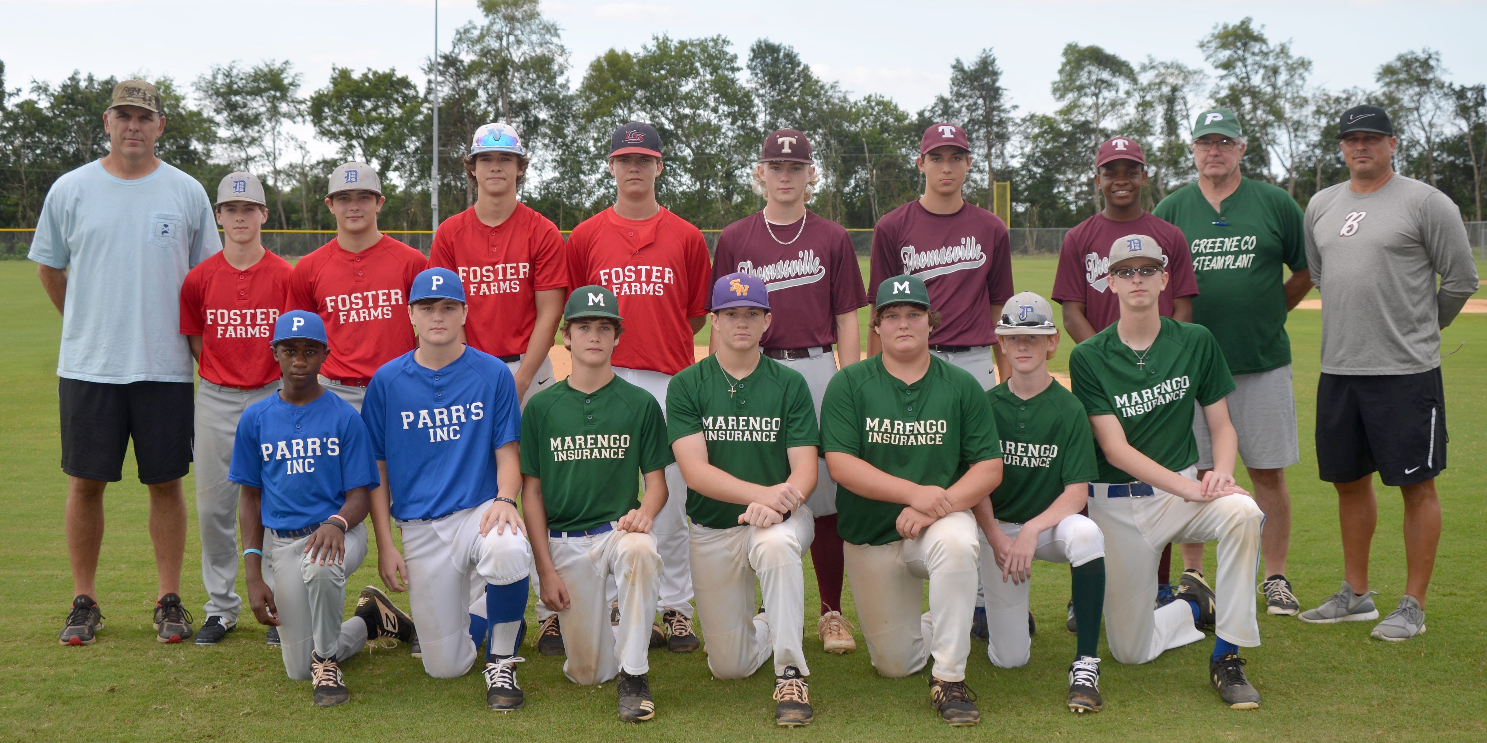 Arlington Senior Babe Ruth team set to play in World Series - Gazette Leader